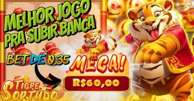 Tigre Sortudo: A Comprehensive Review of the Hot New Slot Game